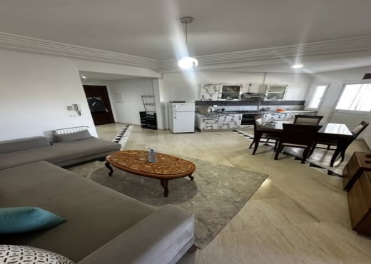 A louer appartement meublé s+1